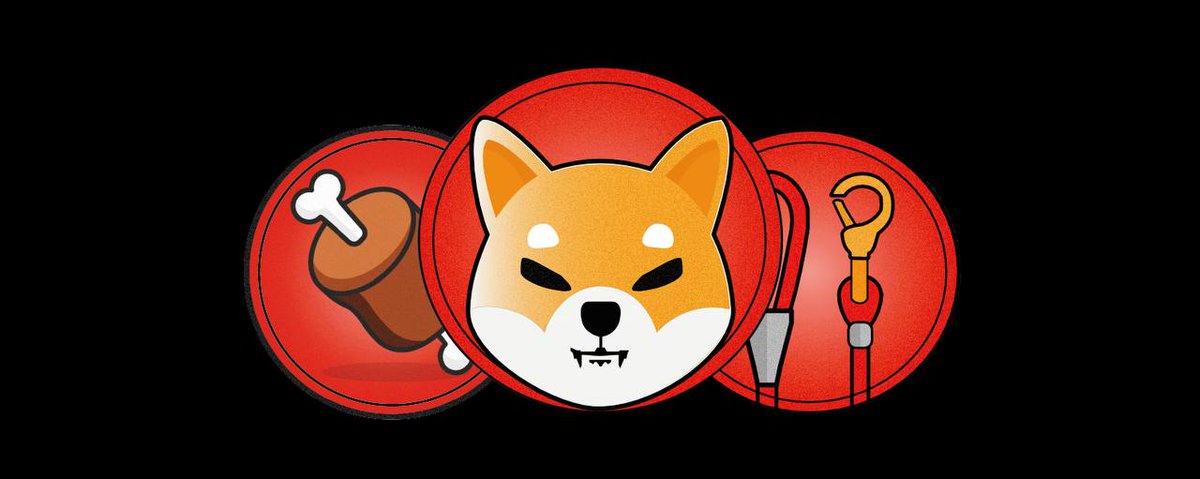 What Is Shib Coin And How Shiba Inu Works In Cryptocurrency