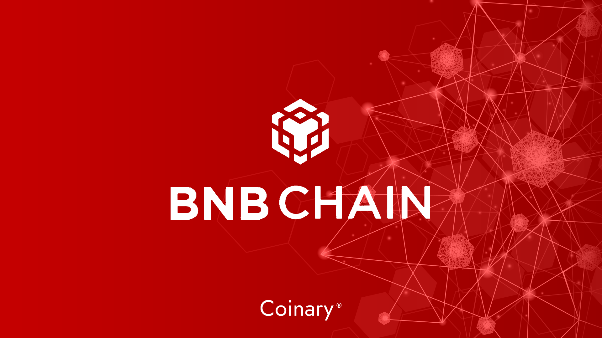 What's the BNB Chain? & How It's Changing the Crypto Landscape