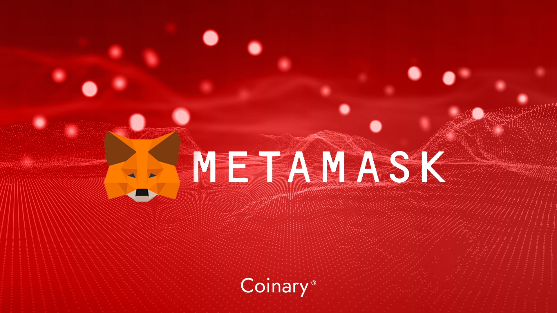 metamask support ethereum zero