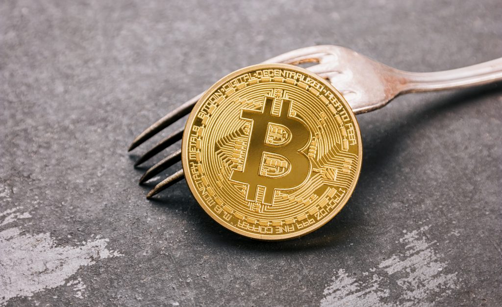 Golden Bitcoin Cash (BCH) on a silver Fork on a dark background, concept image for a bitcoin fork. ideal for websites and magazines layouts