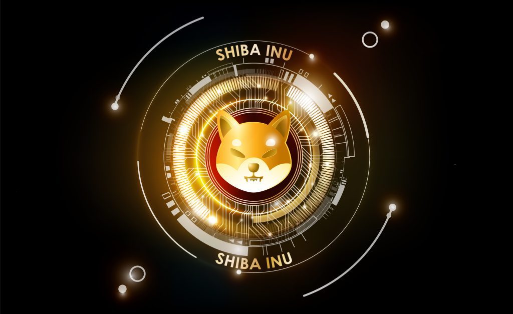 shiba inu coin